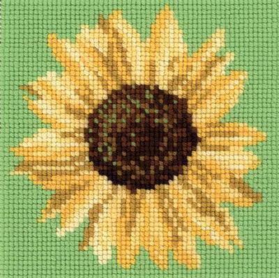E.B. Sunflower