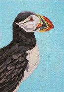 Puffin (18M)
