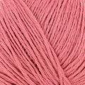 Cotton Cashmere