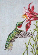 Ruby Throated Humingbird