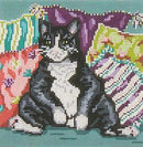 Blue/White Pillow Cat (18M)