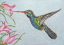Broad Billed Hummingbird