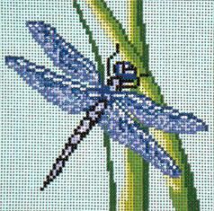 Dragonfly (18M)