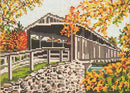 Perrine Covered Bridge (NY)(18M)