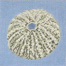 Sea Urchin (18M)