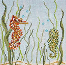 Seahorses Canvas (18M)