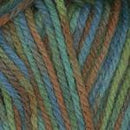 Encore Chunky Colorspun