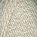 Encore Chunky Colorspun