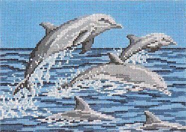 Frolicking Dolphins (13M)