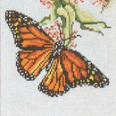 Monarch Butterfly (13M)