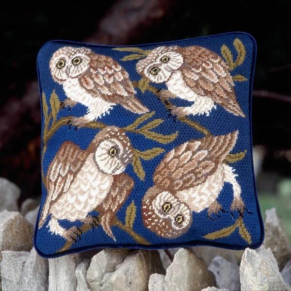 Owls Kit