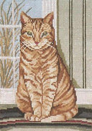 Pondering Pussycat (18M)