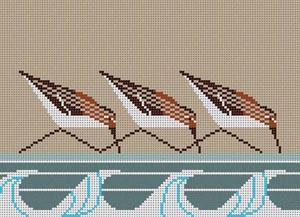 Sanderlings (13M)