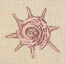Star Shell (18M)
